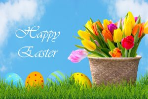 easter-eggs-and-flowers-background